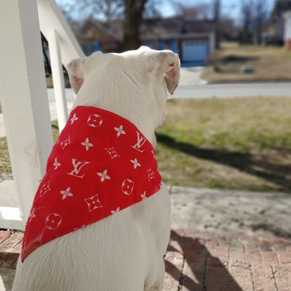 Dog bandanas 🐕 multiple styles - Picture 5 of 6